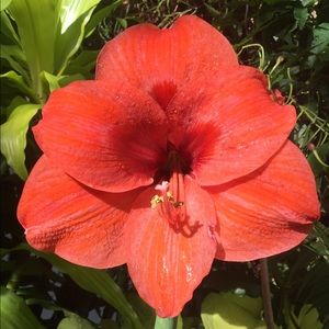 Meet your Posher, Lanier